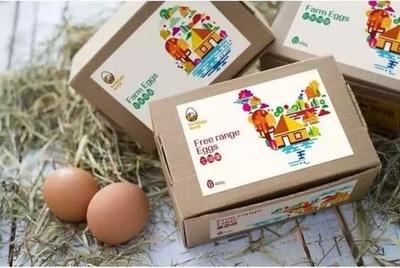 雞蛋包裝創意設計欣賞 品牌雞蛋策劃 農產品包裝